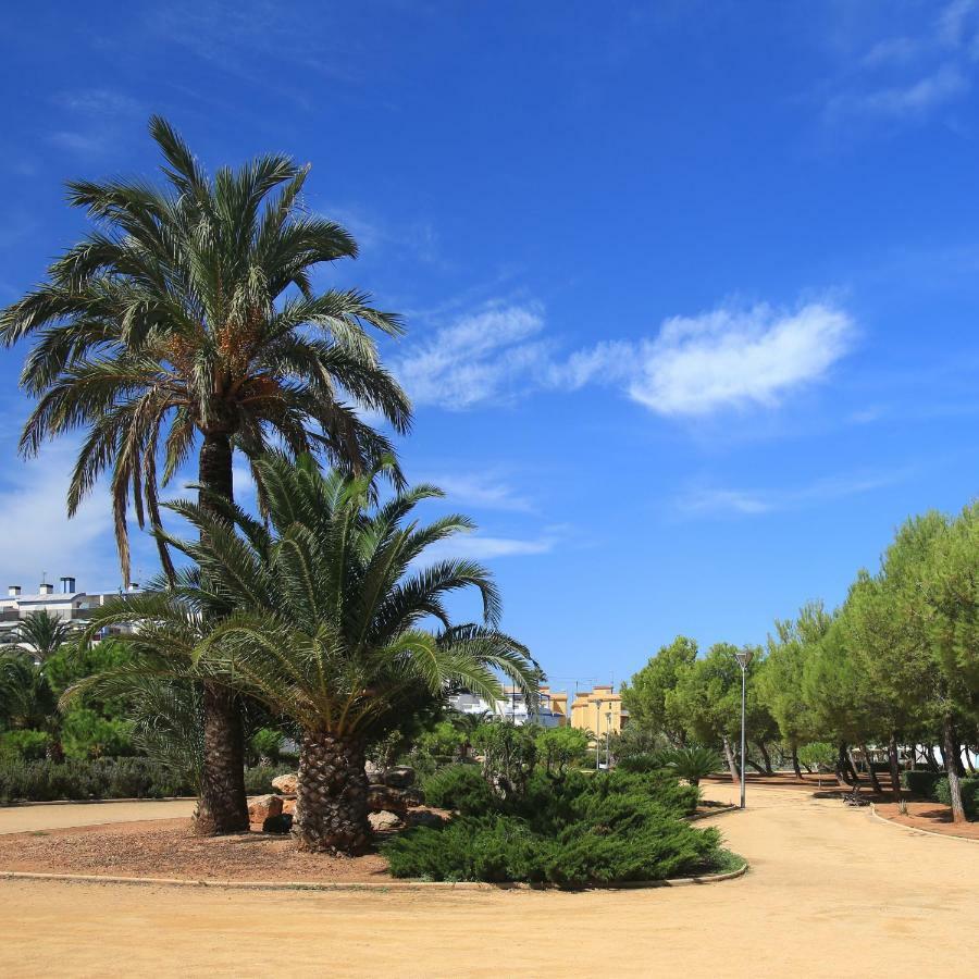 Apartamento Nueva Vida Denia Exterior foto